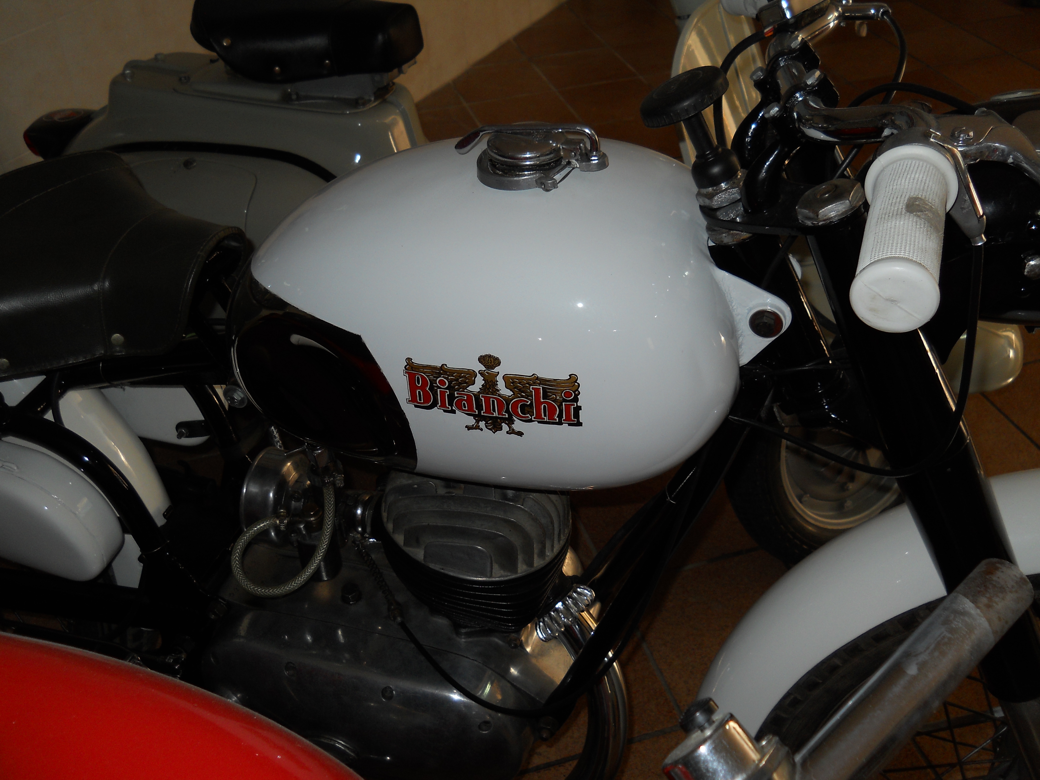 DSCN0833.JPG